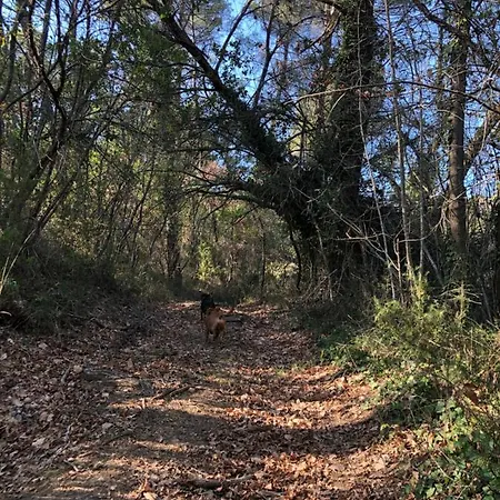Locazione Turistica Sita In Via Ponte Di Ferro 2 A Gualdo Cattaneo